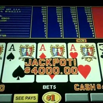 Triple Double Bonus casino game screenshot